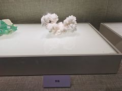 -青岛市博物馆