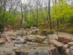 -大连植物园