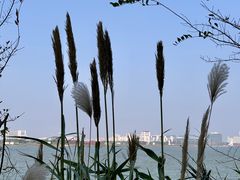 -上海滴水湖皇冠假日酒店