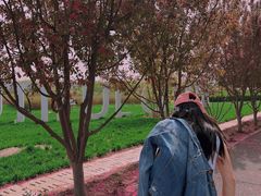 -北京热带雨林风情园酒店-停车场