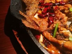 -老板恋上鱼(高新万达店)