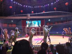 -西安秦岭野生动物园