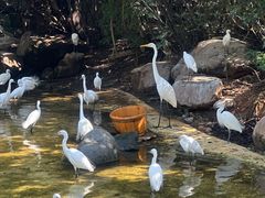 -珠海长隆海洋王国
