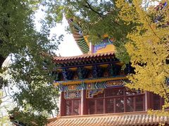 -宝通禅寺