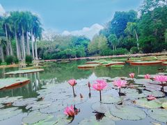 -中国科学院西双版纳热带植物园