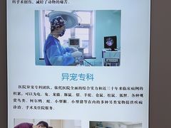 -北京观赏动物医院·24小时大型综合·猫专科·异宠专科