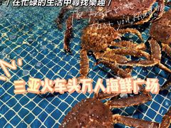 -三亚火车头万人海鲜广场