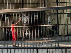 -广东茂名森林公园