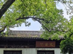 -汇龙潭