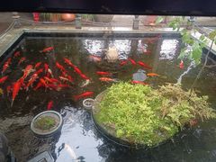 -野蔓果·山野菜(西湖景区·龙井茶田店)