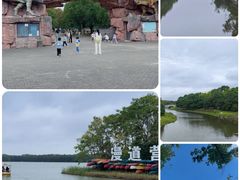 -上海海湾国家森林公园