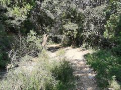 -北京西山国家森林公园