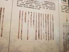 -长沙简牍博物馆