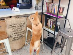 -叁秋咖啡 SANQIU COFFEE(天津河北路店)