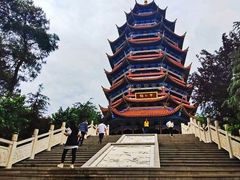 -铁山坪森林公园