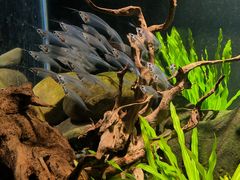 -太平洋海底世界