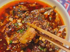 -铁公鸡·四川料理(天环广场店)