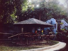 -清迈夜间动物园