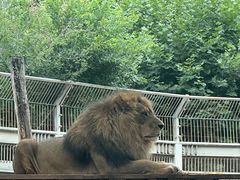 -昆明动物园