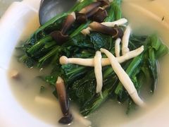上汤菜心-陶缘一号·四季缘·老字号顺德菜·户外婚礼家宴(西滘店)