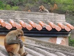 -白帝城·瞿塘峡景区