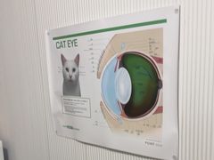-守诺宠物医院·眼科· 特色牙科·异宠专科(虹口店)