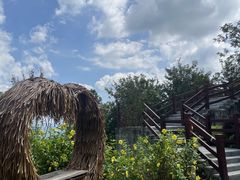 -广州白江湖森林公园