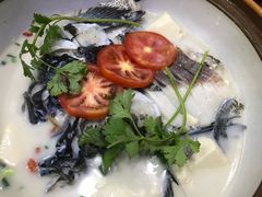 -全乐鱼馆·淳牌有机鱼直营店