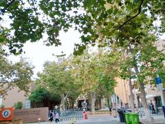 -山东省青岛第二中学(江西路分校)