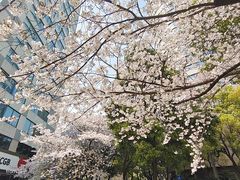 -玛格萝妮比萨屋(四平店)