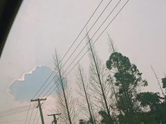 -山城外·非遗酸菜鱼(蜀都万达店)