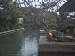 -日落吧·海景咖啡厅·餐酒吧·鸡尾酒·下午茶·乐队表演·浪漫夕阳·三亚文华东方酒店
