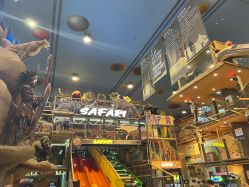 -卡通尼·Safari非洲探索乐园·生日会(金桥国际商业广场店)