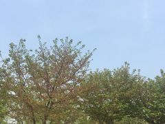 -金陵图书馆