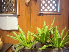 -慢丽江·云南野生菌土鸡锅(付家庄店)