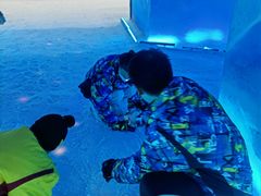 -世界之窗阿尔卑斯冰雪世界