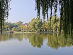 -石家庄市植物园