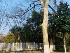 -太子山公园(园东路)