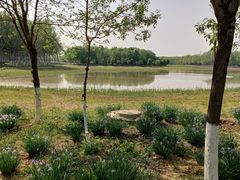 -东郊湿地公园