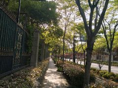 -新江湾城公园