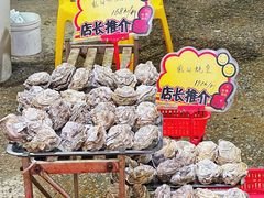 -蚝专家(北滘店)