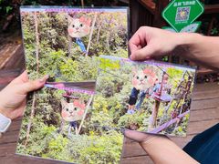 -西双版纳原始森林公园