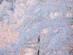 -崂山巨峰游览区