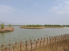 -野鸭湖国家湿地公园