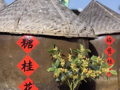 -苏州市吴中区光福窑上花果蜜饯厂