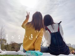 -昆山城市生态森林公园