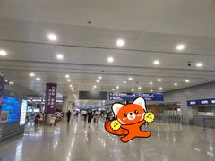 -上海浦东国际机场-T2航站楼