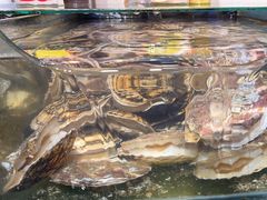 -瑞杰烧烤店·24小时营业(山东路店)