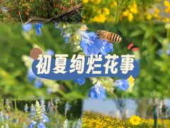 -新江湾城公园