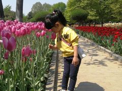 -石家庄市植物园